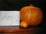 Ariso's Pumpkin