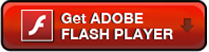 Update Flash